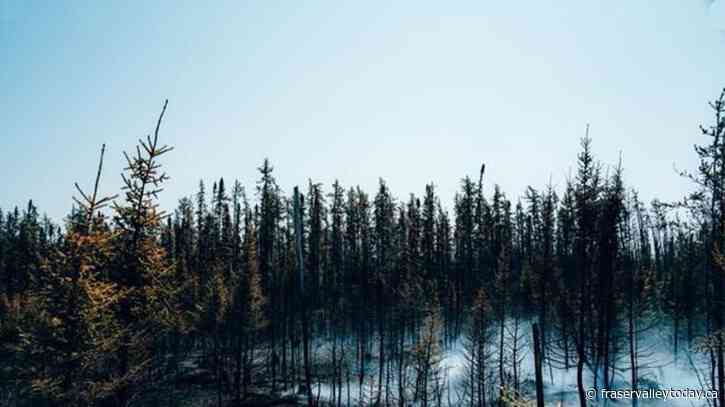 Ministers to deliver update as Quebec forest fires continue to burn