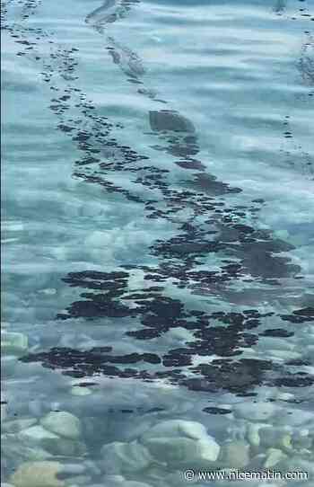 La préfecture des Alpes-Maritimes alerte sur une pollution marine d'origine "indéterminée" à Menton, la baignade interdite
