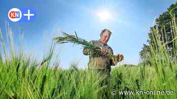 Trockenheit in SH 2023: Folgen für Landwirte, Gärtner und die Feuerwehr