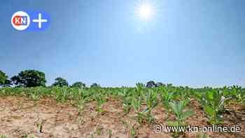 Bauer, Gärtner, Feuerwehr: In Schleswig-Holstein ist es viel zu trocken
