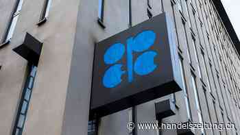 Opec+ legt Produktionsziel für 2024 fest
