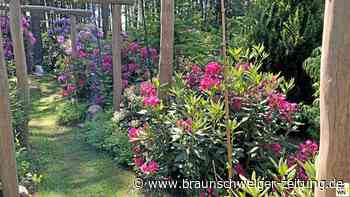 Gifhorns Gärten sind so grün – und magnetisch