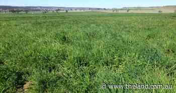 Not all bad news in quest for carbon neutrality