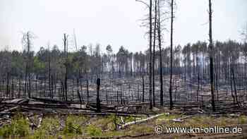 Brandenburg: Feuerwehr-Einsatz soll noch Tage dauern