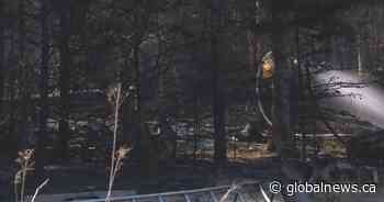 Fire near Stein Lake contained; Saint John Fire Department cautions about burning