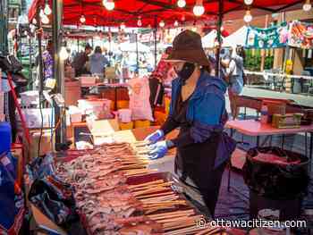 Chinatown Night Market a sea of diversity and good food