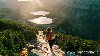 Immergiti nella natura selvaggia della Polonia: un'esperienza paesaggistica indimenticabile