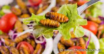 The future of food: what we'll be eating in 2050