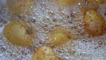 Nudeln und Kartoffeln nach dem Kochen abkühlen lassen – Kalorienzahl wird dadurch reduziert