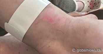 Fair ride injures two, shuts down operation at Stony Plain Farmers’ Days