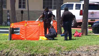 Body of Man Found Floating in North Miami Beach Canal