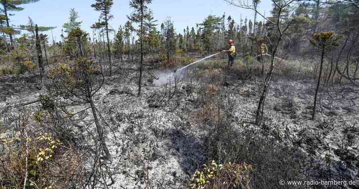 Lage in kanadischen Waldbrand-Gebieten entspannt sich leicht