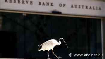 Live: Markets predict another interest rate rise, Myer CEO to retire, ASX rallies after US debt deal secured