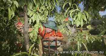 China lifts another trade ban on Aussie agriculture