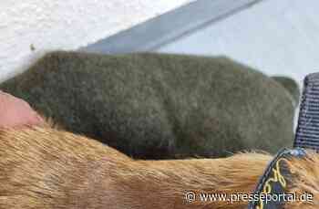 API-TH: Tierlieber Urlauber rettet Hund auf der A9