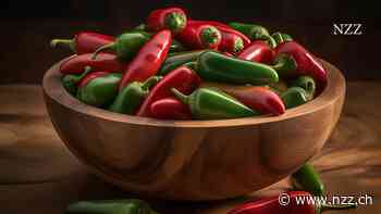 Scharfes, aber gesundes Essen – ein Hoch auf den Jalapeño