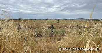 NSW farmers renew calls for competition reform