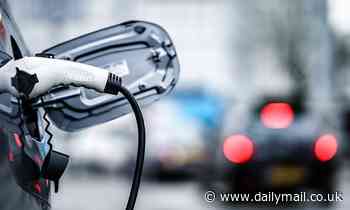 Electric cars were hailed as the greener and cheaper way forward... but they actually cost MORE