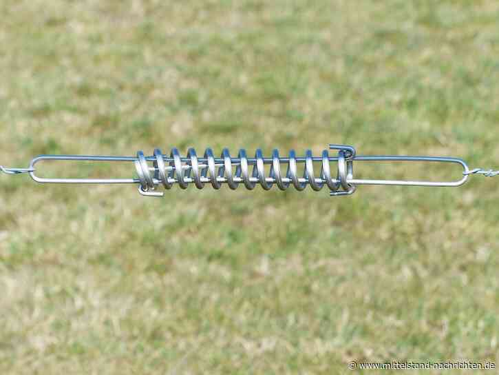 Die Kraft der Zugfedern – Ein eingehender Blick auf ihre Funktionsweise, Anwendungen und Vorteile