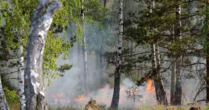 Feuer bei Jüterbog größer geworden