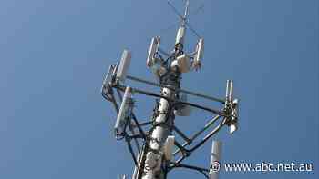 'Not our core business': SA council votes against providing funding for phone tower project