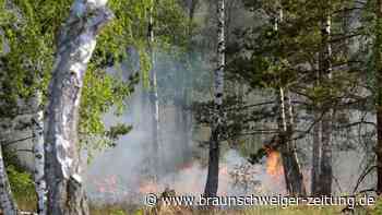 Feuer bei Jüterbog größer geworden