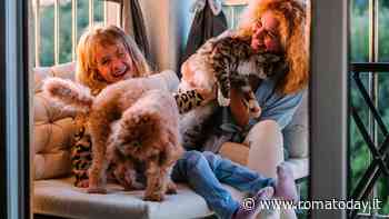 Quasi il 50% delle famiglie italiane vive con animali: una presenza sempre più costante