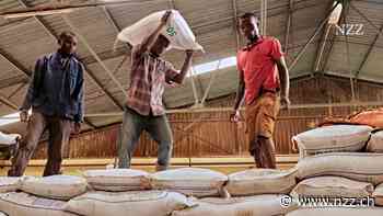 Die Preise für Düngemittel schiessen in die Höhe – und die Hersteller stehen im Griff der grossen Politik: Wie wird die Welt ernährt?