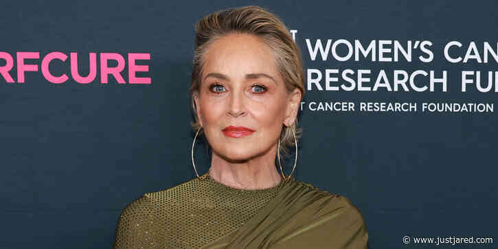 Sharon Stone Feels Forgotten By Hollywood After Her Stroke: 'I Haven't Had Jobs' Since