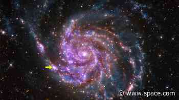 How long will the new supernova visible in the night sky last?