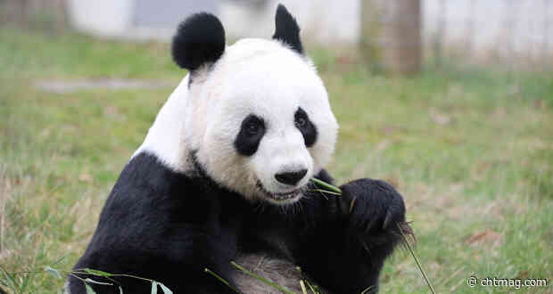 Spectrum is taking a walk on the wild side!