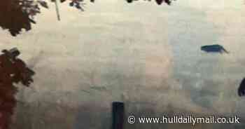 Walker describes moment he was 'stalked' by puma while out hiking