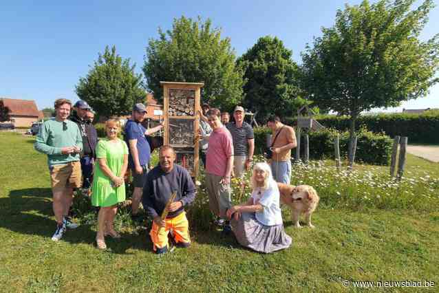 Gemeente geeft goede voorbeeld met aanleg van bloemenweiden en insectenhotels: “Nu hopen dat inwoners dit ook in hun eigen tuin navolgen”