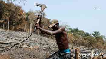 INTERVIEW - «Die Medien haben unser Klimaprojekt durch den Dreck gezogen. Mir tut das für die dortige Bevölkerung leid»