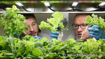 Start-ups suchen wieder mehr Personal