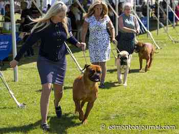 Edmonton weather: A week of hotness must start with a chance of showers