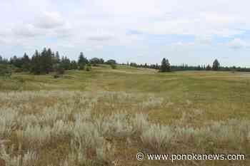 Nature Conservancy of Canada releases action plan to protect Prairie grasslands