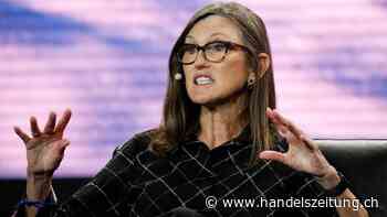 Wie der Fall Cathie Wood die Misogynie der Finanzmedien offenlegt