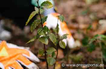 Baumpflanzaktion von ANNEMARIE BÖRLIND und MÜLLER Parfümerien