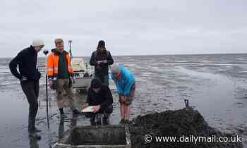 Germany's 'Atlantis' is FOUND: Experts discover lost city of Rungholt