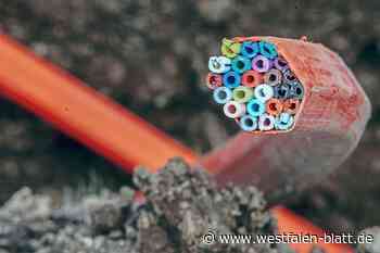 70 Telekom-Kunden in Altenbeken von Störung betroffen