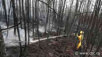 Rain in Shelburne County allowing crews to attack fire more directly