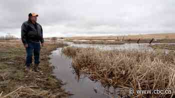 Saskatchewan landowners say illegal drainage is washing out land, roads downstream