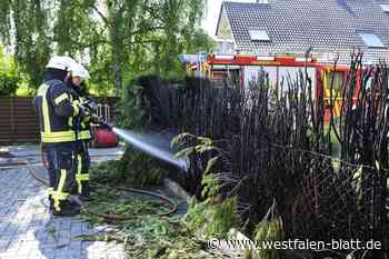 Löhne: Heckenbrand am Friedhofsweg