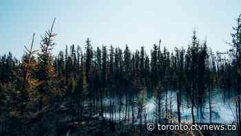 Air quality statement issued for Toronto amid wildfires in Quebec, northern Ontario