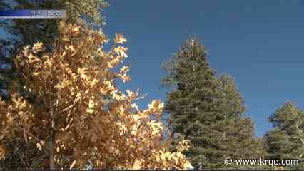 Prescribed burn scheduled in Lincoln National Forest