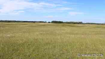 Nature Conservancy of Canada touts plan to protect 5,000 square km of Prairie grasslands