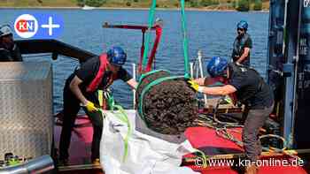 Lübeck: Hanseschiff wird aus der Trave geborgen – alle Details