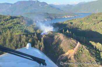 3 wildfires burn at least 42 hectares near Agassiz-Harrison