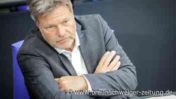 Diskussion über neue Holzheizungen: Habeck kompromissbereit